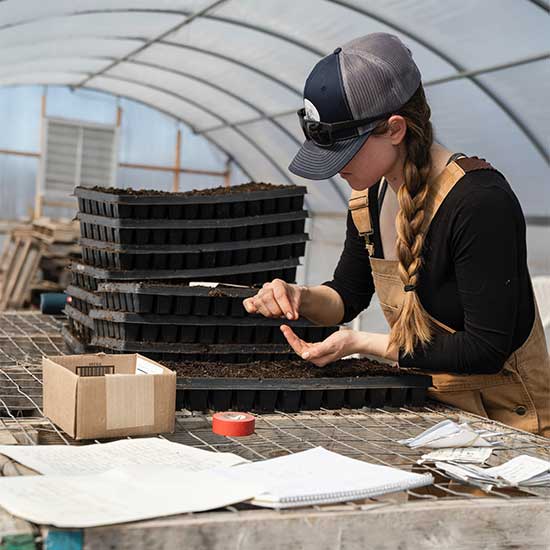 Lawn Maintenance( Mowing, Trimming, Edging